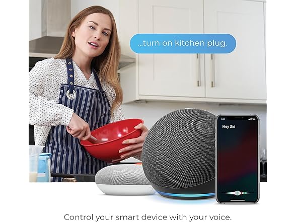 Globe Electric 50329-U Wi-Fi Smart Plug Mini, 1 Pk