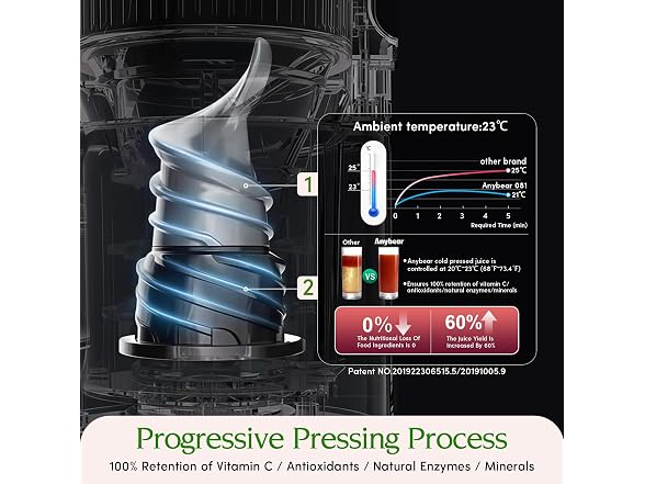 Anybear 350W Cold Press Juicer
