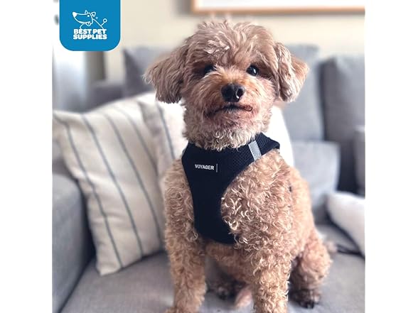Voyager Step-in Air Dog Vest Harness