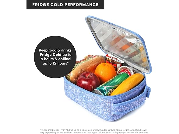 Titan Arctic Zone Lunch Box w/Ice Packs