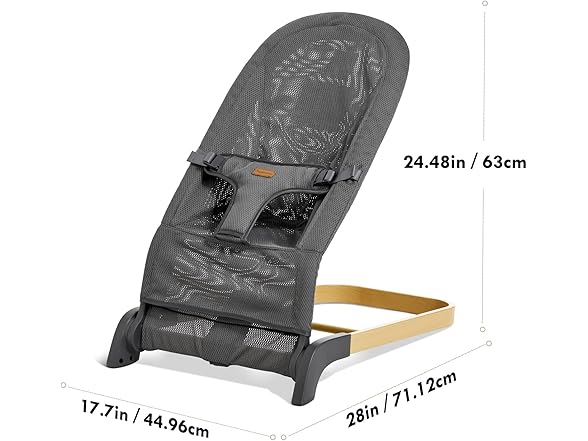 Foldable Baby Bouncer