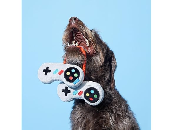 Barkbox Dog Toys – Ate Bit Controllers Plush