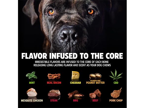 Pet Qwerks Original BarkBone, BBQ