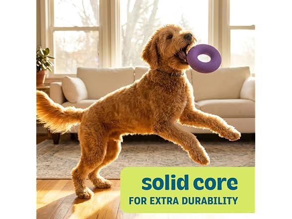 Pupstages Flex-Force Ring Dog Chew Toy, Fetch & Tug