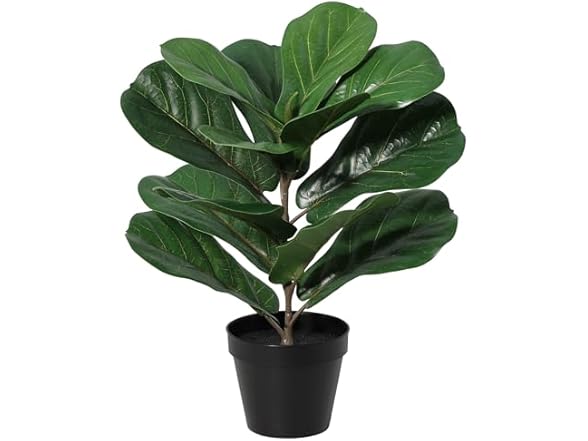 LuckyGreenery Artificial Small Fiddles