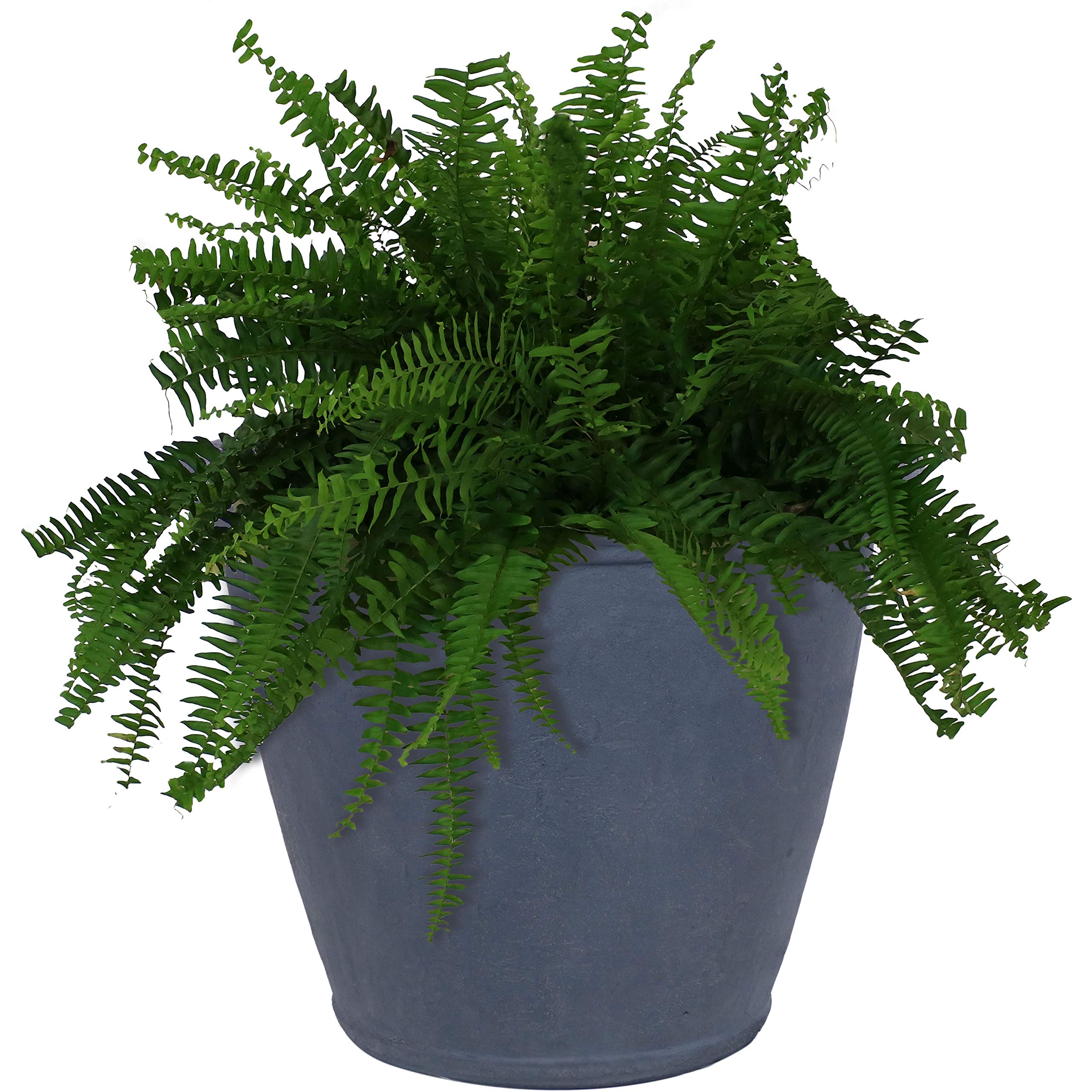 Sunnydaze 24" Anjelica Large Plastic Pot - Gallery 16