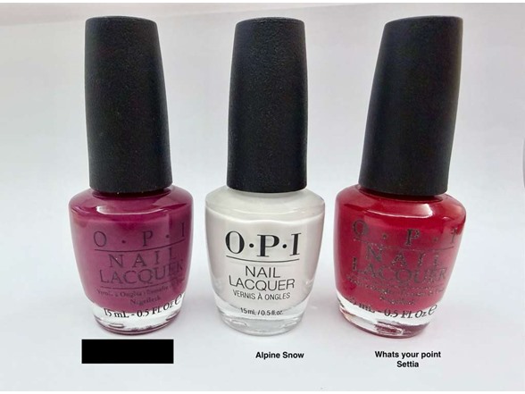 Just Beclaus, Alpine Snow, Whats Your Point Settia