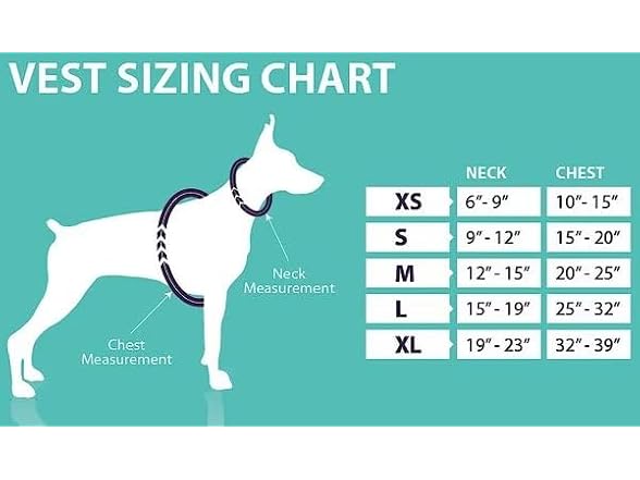 Calmer Canine Anxiety Treatment tPEMF System