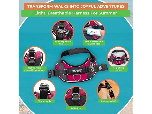 Joyride Summer Mesh No-Pull Dog Harness 2.0