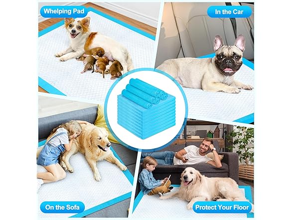 40"x40" puppy pads