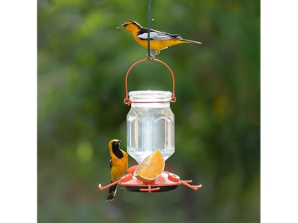 Perky-Pet 9113-2 Top-Fill Glass Oriole Feeder