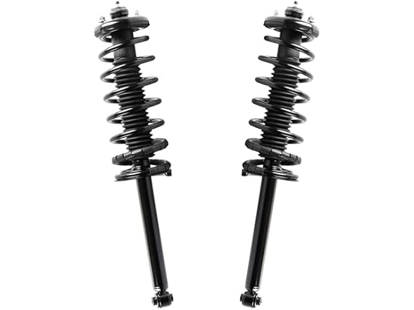 EVERESTWAY Rear Struts w/Mounts