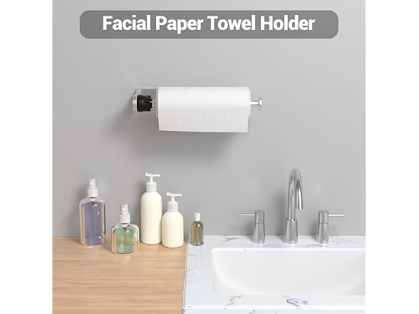 LOISVI Paper Towel Holder (Silver)