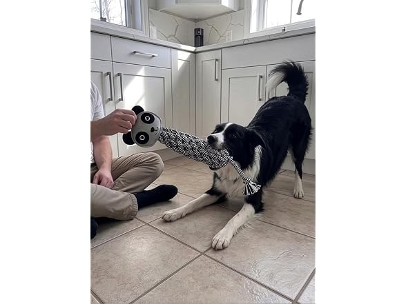 SPOT Dura-Fused Colors Leather Bottle Cruncher Panda Dog Toy