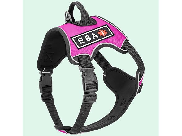 Dogline Quest No-Pull Dog Harness with 3D Ru