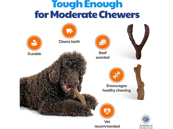 AKC 2 Pack Training Dog Chew Toy, Wood Infused - Gallery 2