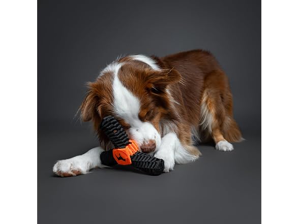 NOAH & PAW Luxury Dog Toy, Dog Rope Toy- Y Flyer, Black