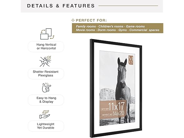MCS Everline Collection 14x20 Matted Poster Frame