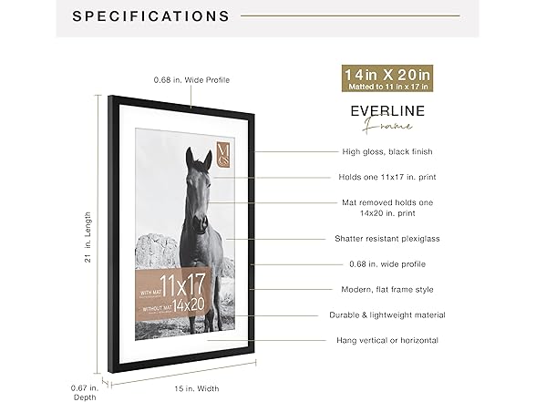 MCS Everline Collection 14x20 Matted Poster Frame