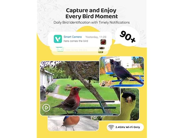 Bird Feeder with Camera Solar Powered