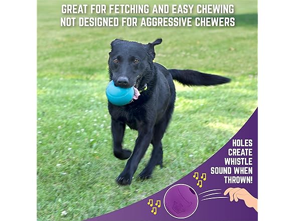 Chew King Dog Fetch Balls, 2 Pack