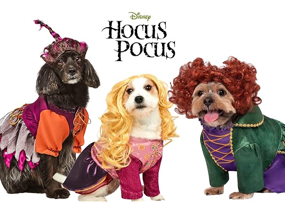 Rubies Rubies Disney Hocus Pocus: Winifred