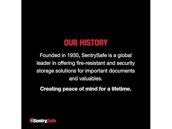 SentrySafe Black Steel Home Safe with Digital Keypad Lock
