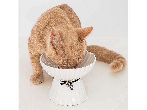 Dexypaws: Elevated Ceramic Bowl for Cats