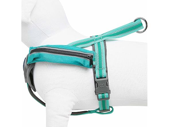 Blueberry Pet Essentials Reflective Back to