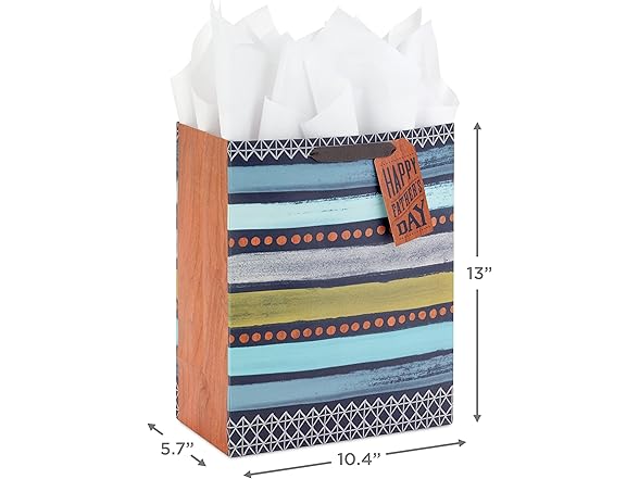 Hallmark 13" Gift Bag w/Card for Dad