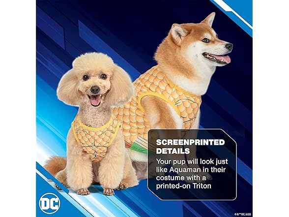 DC Comics Superhero Aquaman Halloween Dog Costume