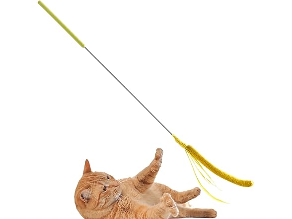 (2 Pack) Cat Wand Toy