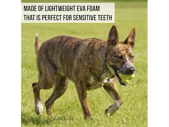 Hyper Pet Throwing Bumpy Ball Dog Toy