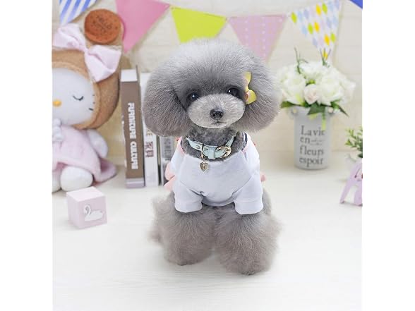 Tangpan Bow-Knot Student Cosplay Pet Costume XL