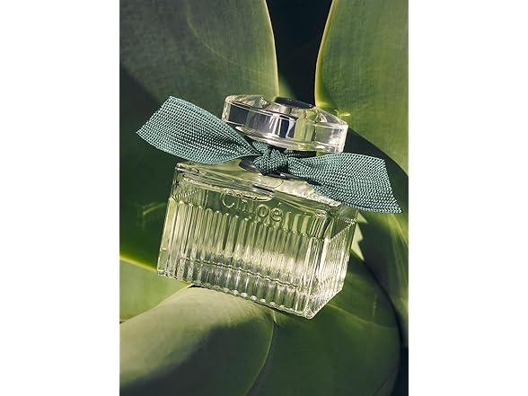 Chloe Rose Naturelle Intens 1.6 oz EDP Spray