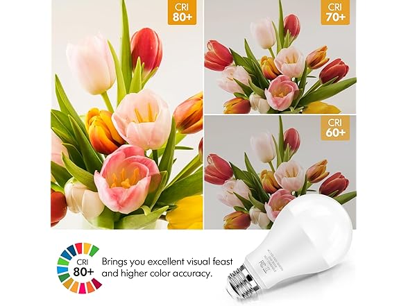 TOBUSA A21 LED Bulbs 20W 3000K 2-Pack