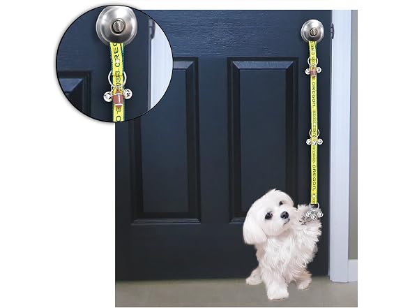 Pets First Collegiate Pet Accessories, Train