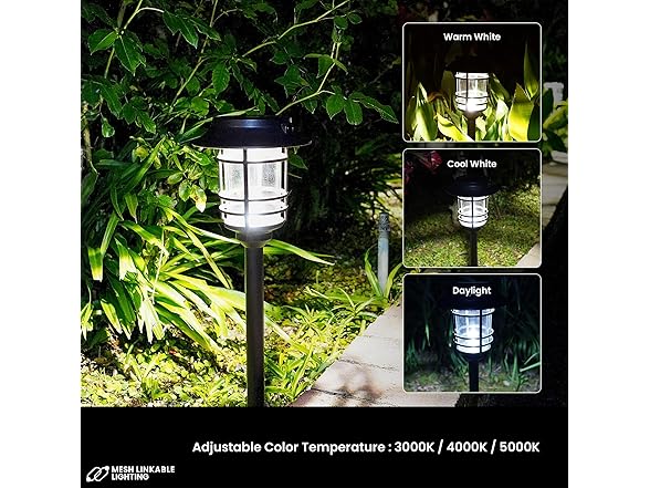 Home Zone 6Pk Solar Path Light w/LiFePO4 Battery