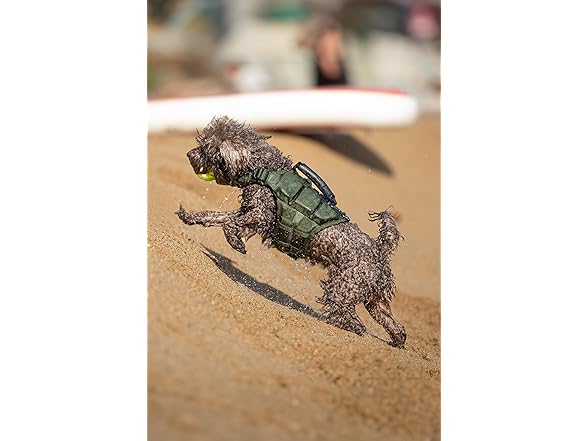 NOAH & PAW Dog Life Jacket- XSmall