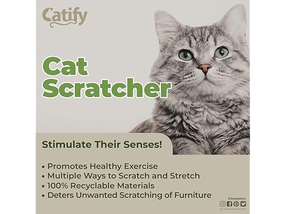 Best Pet Supplies Catify Cat Scratcher