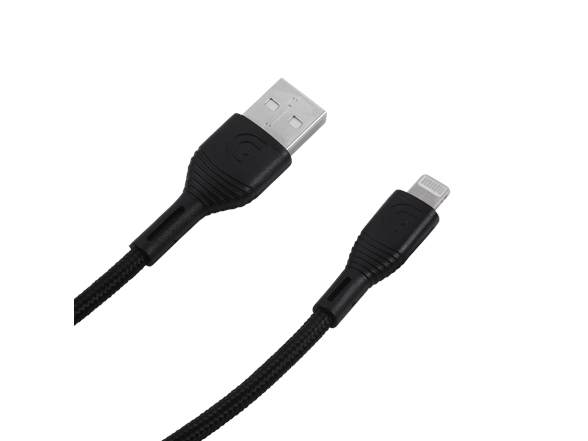 10FT Lightning Cable