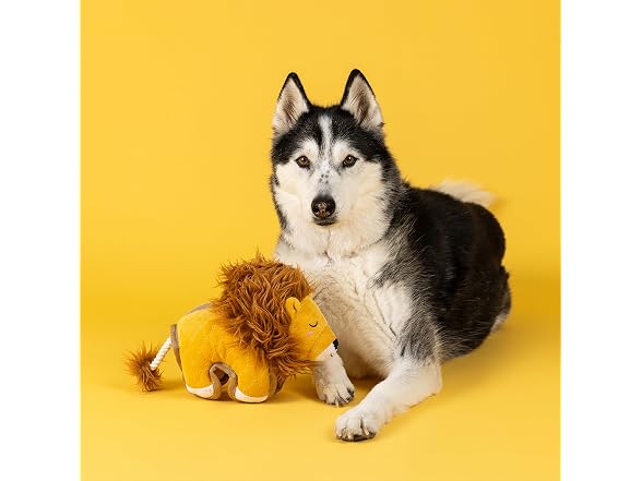 Fringe Studio Mane-Ly Just Roaring Durable Plush Dog Toy