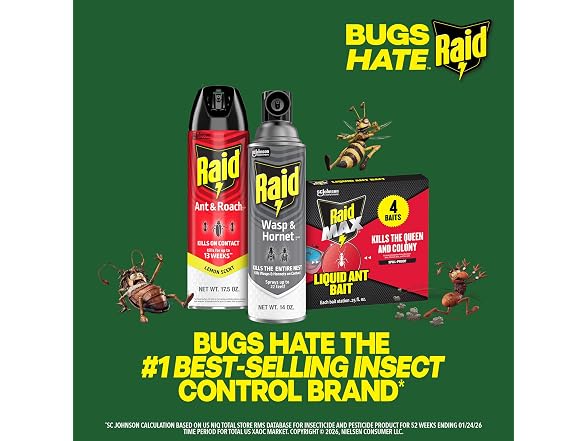 Raid GAR-03 Raid Wasp & Hornet Killer 14 Oz, 2 Ct