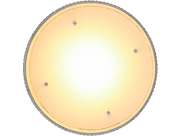 Parrot Uncle BBD3012 Flush Mount Ceiling Light