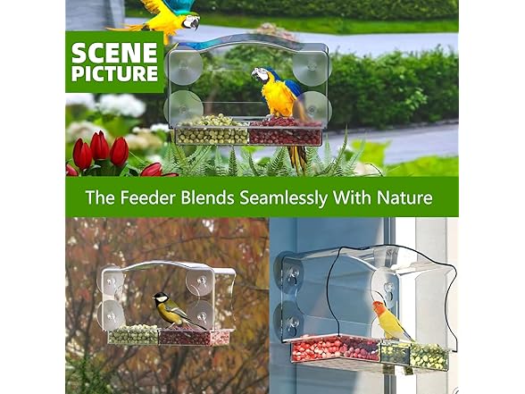 Generic Window Bird Feeder for Outdoor