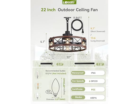 LEDIARY Walnut 22" Outdoor Ceiling Fan with Lights