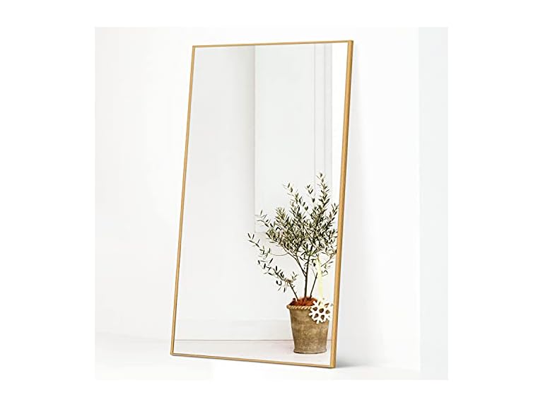 NeuType Full Length Mirror Hanging or Leaning Against Wall