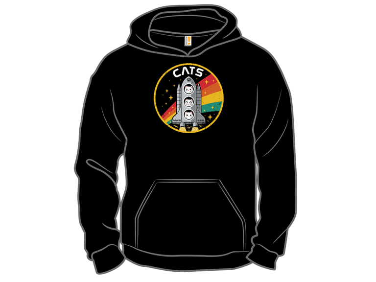 CATS  Space Division