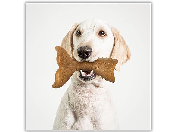 The Chew Club Power Bone Pet Chew Toy for Dogs