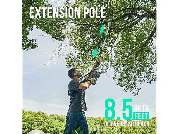 Litheli Cordless Pole Saw,10-Inch 40V Pole Saws for Tree Tri (Open Box)